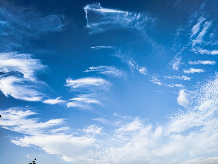 White Clouds