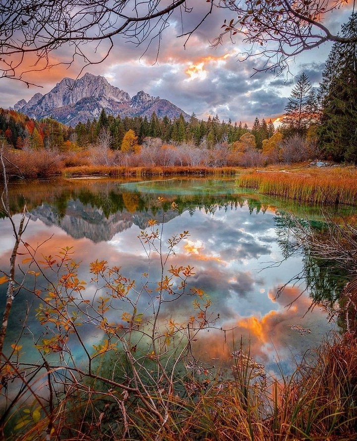 Paysage Naturelle