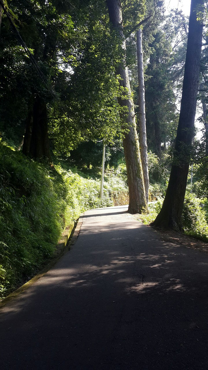 a road
