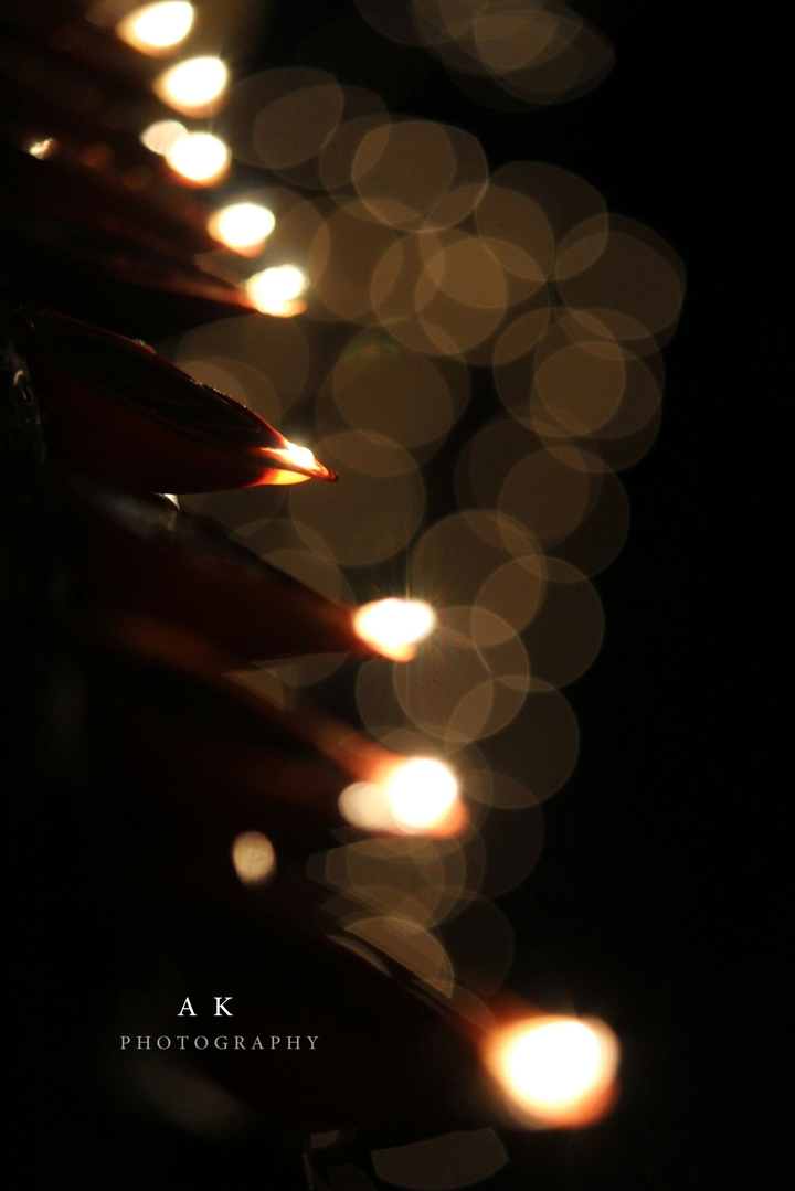 search your own light for success..