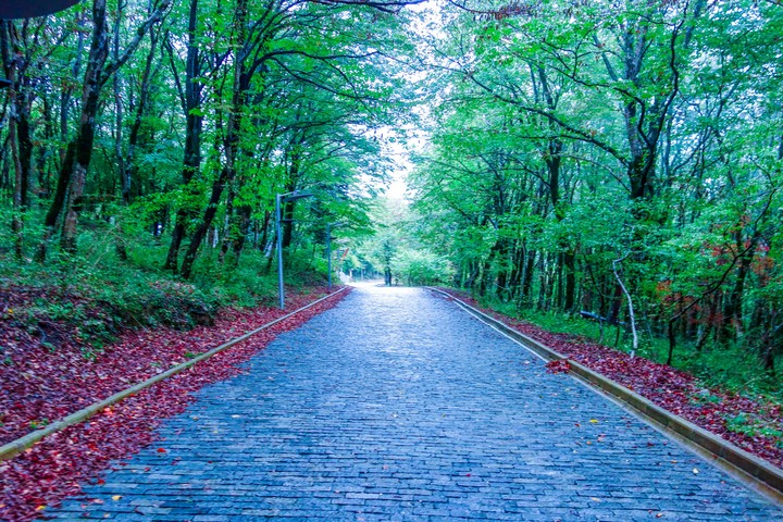 lonely walk