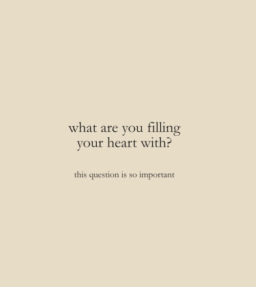 What are you filling your heart with?