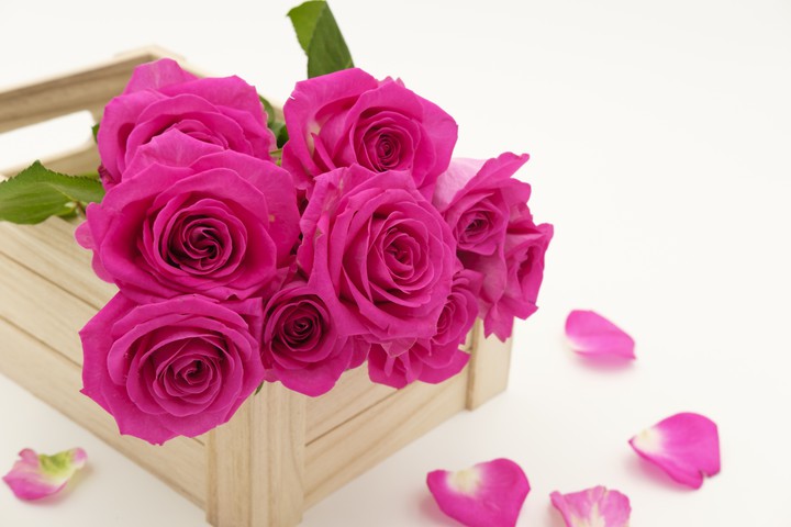 ♡~♧~♡
