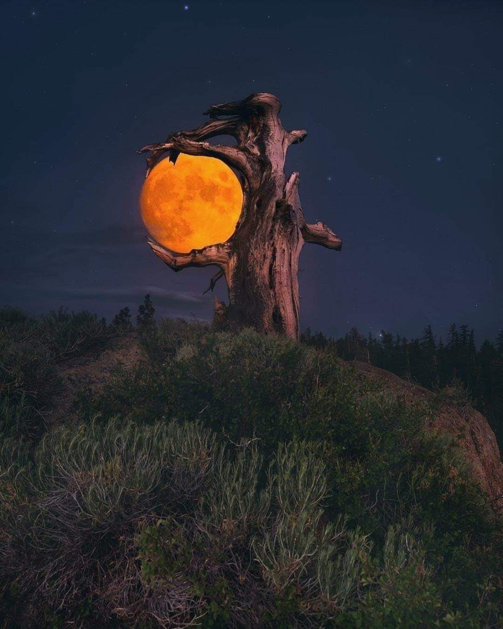 An October Moon