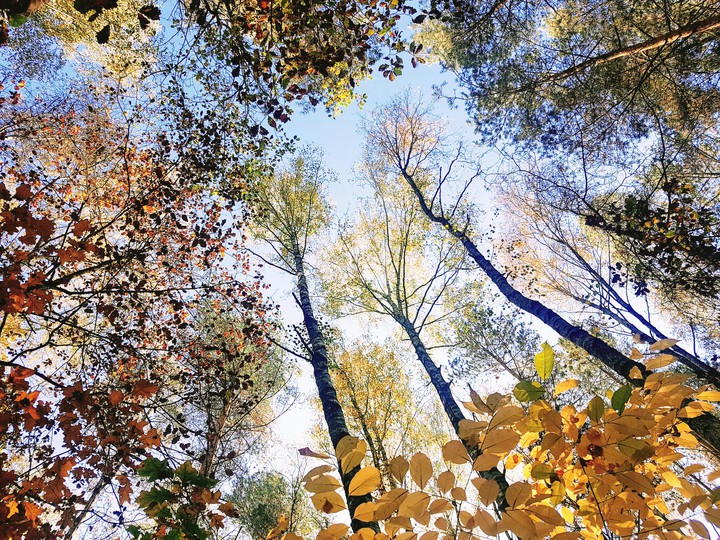 fall