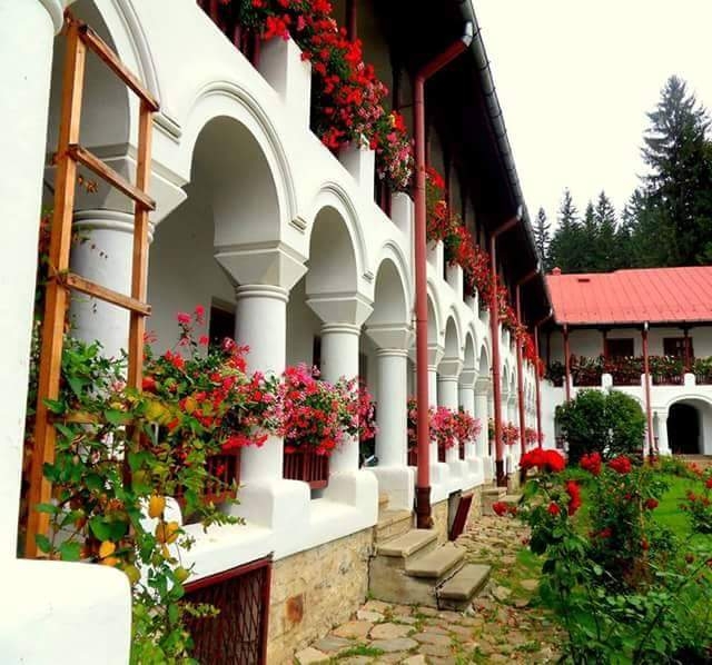 Mânăstirea Agapia