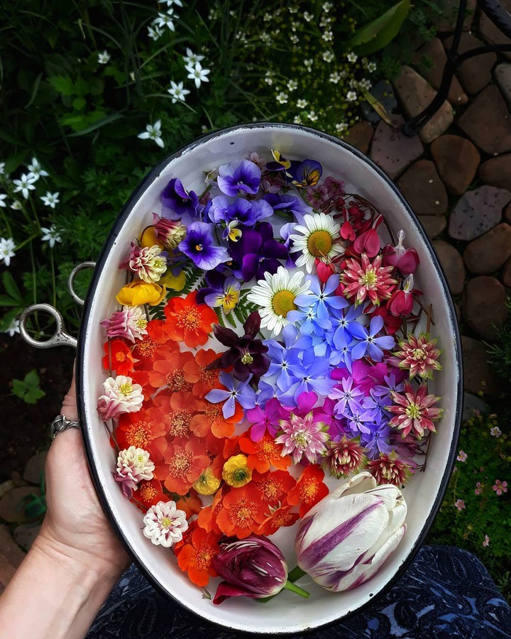 flowers