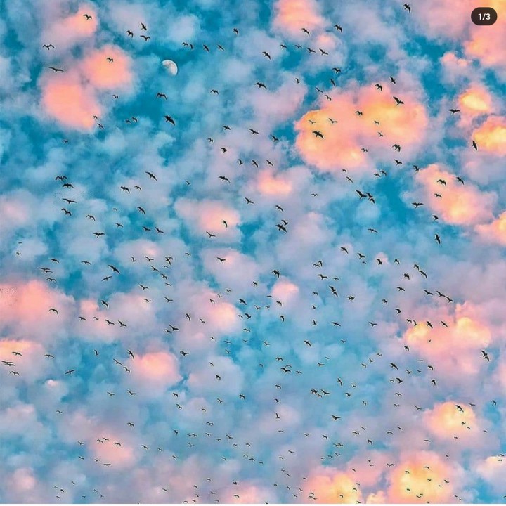 ☁️?