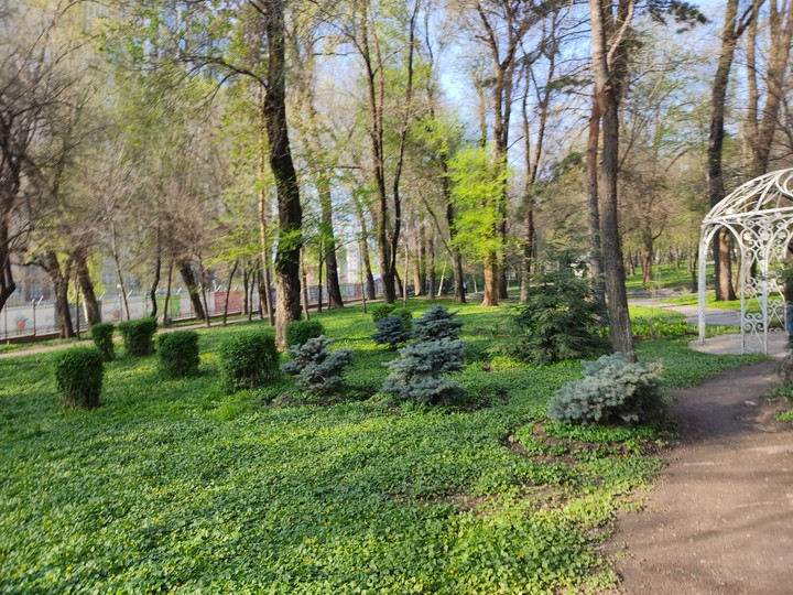 Весна