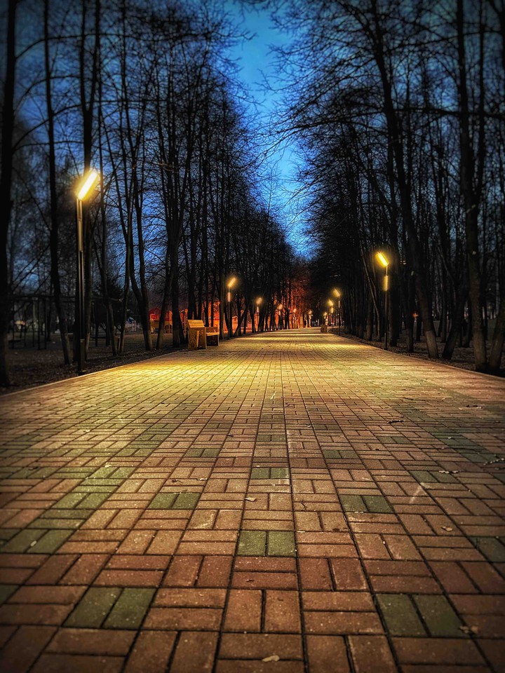 прогулка по парку