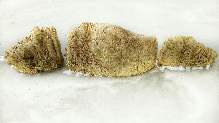 frozen in ice
