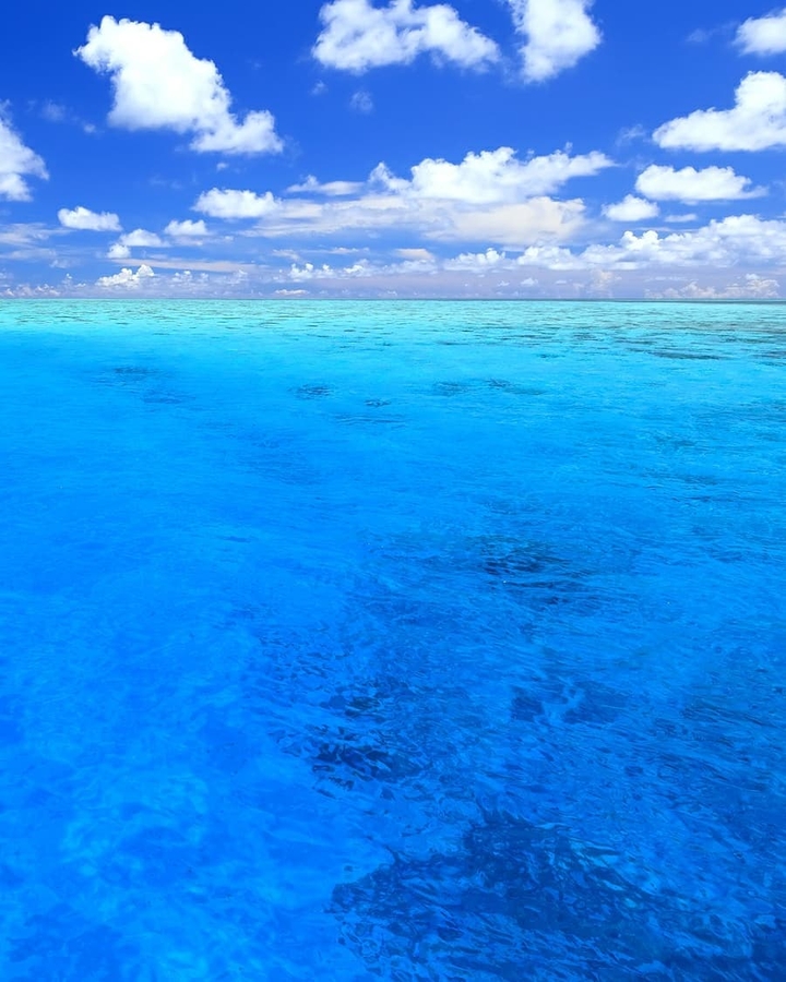 Sea