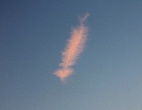 Wolke;)