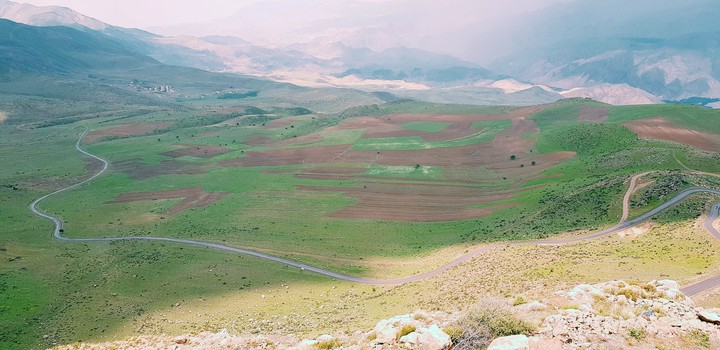 سردرود