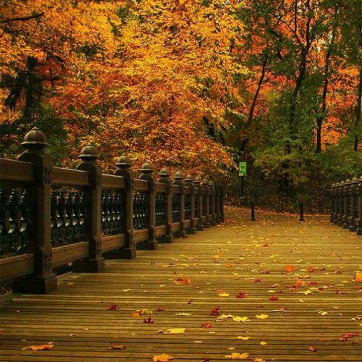 The Call of Nature!.....