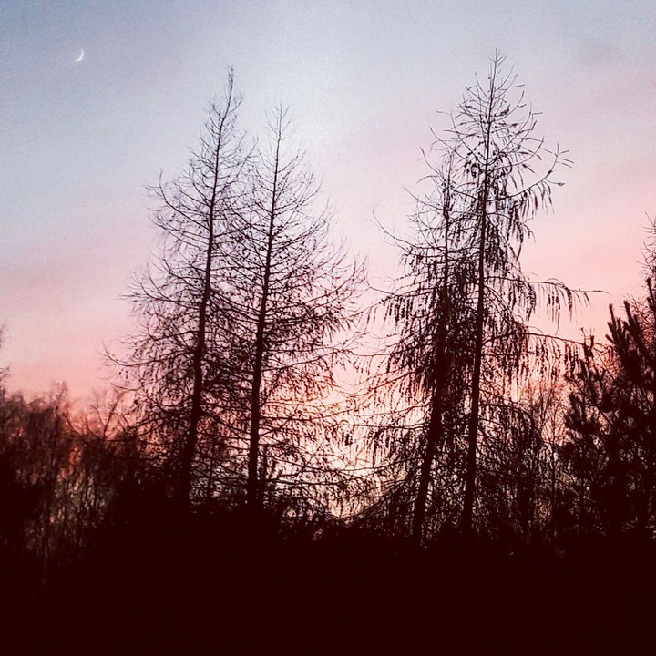Magic season