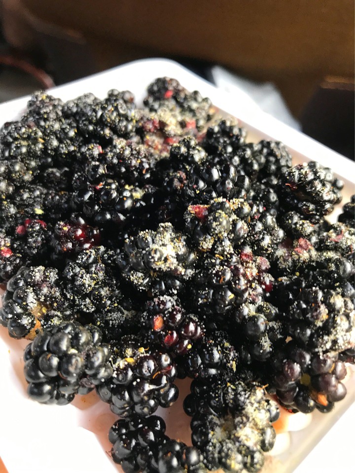 #black_mulberry  #mulberry