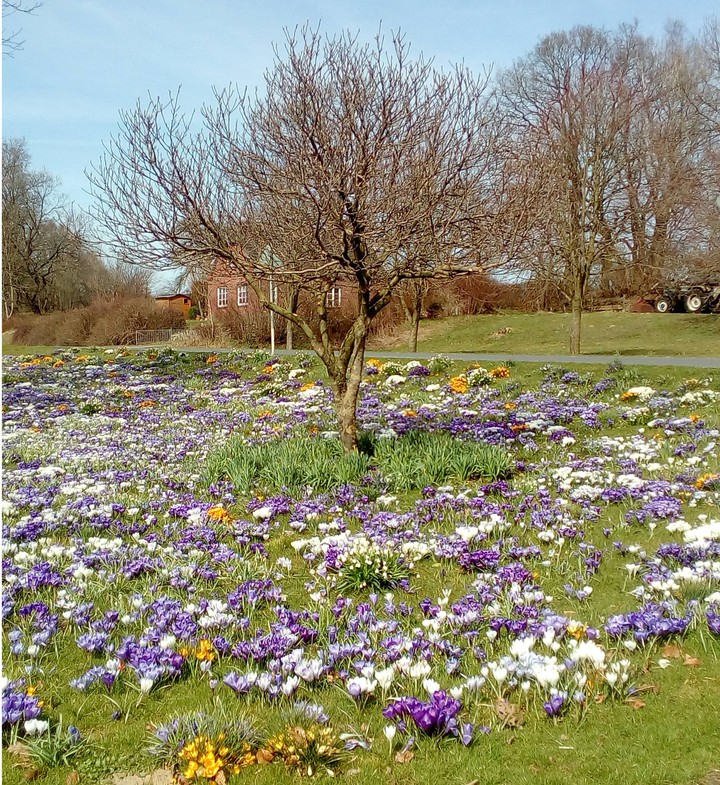 Frühling 2021