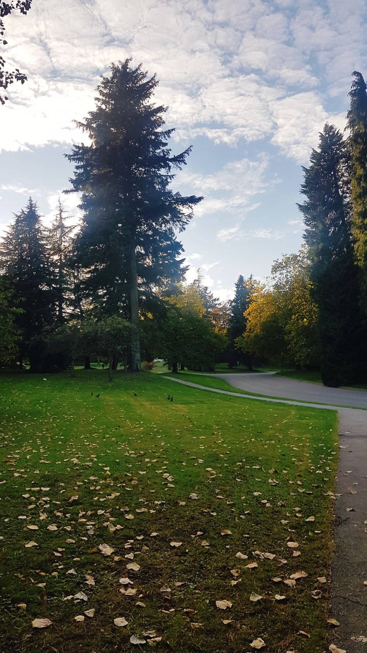 Queen Elizabeth Park