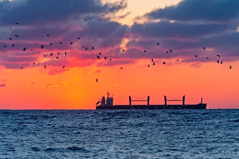 шпалери dusk, bird