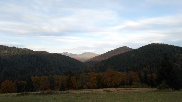 mountains