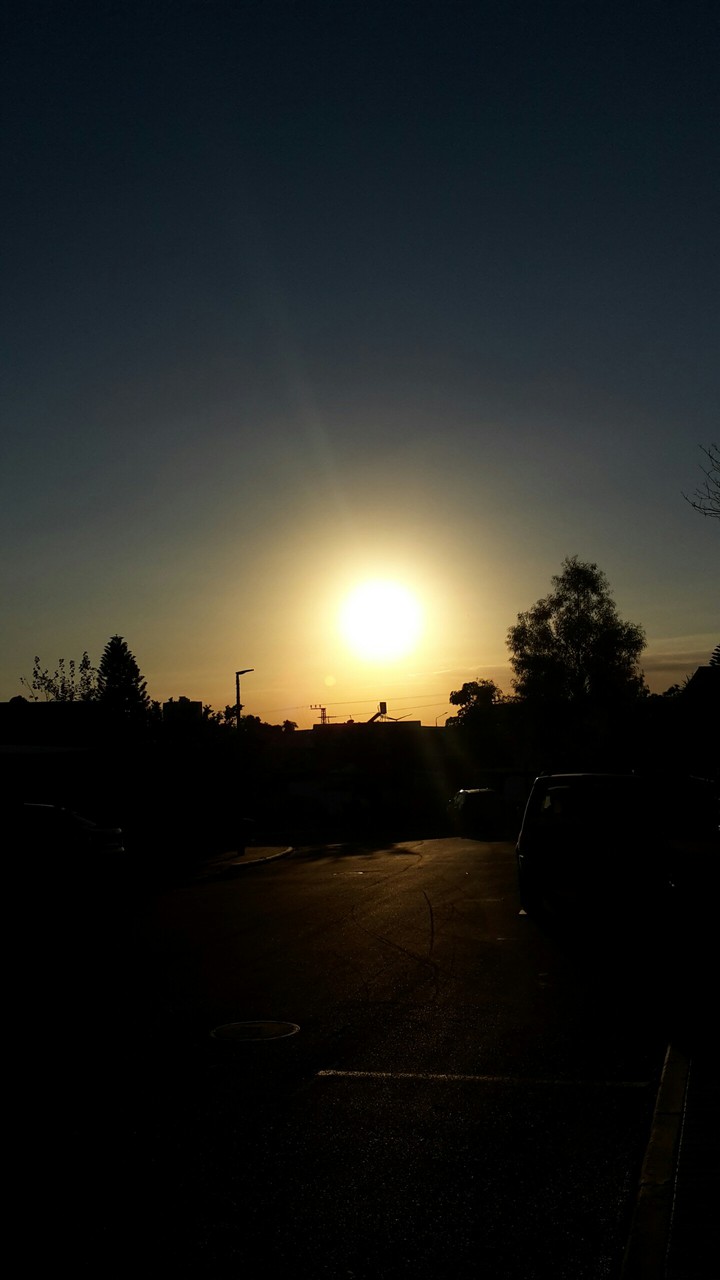 sunny