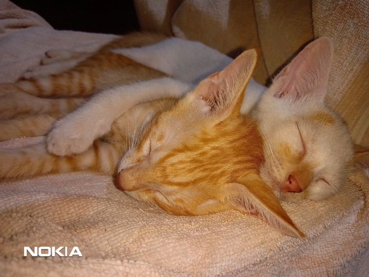 Sibling love