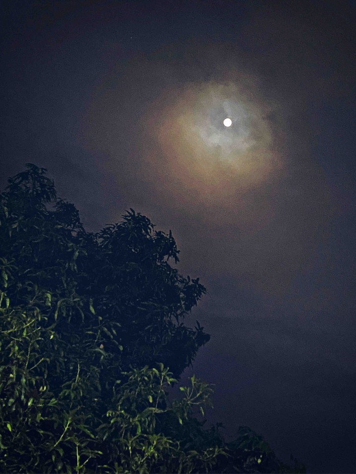moonLight