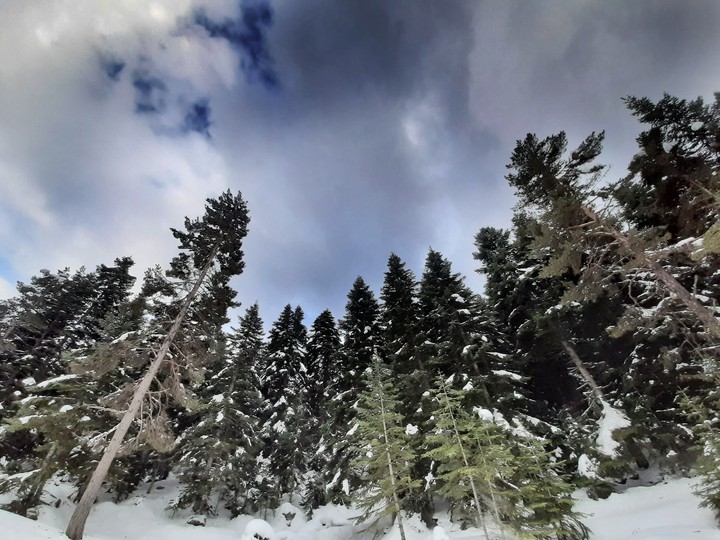 winter