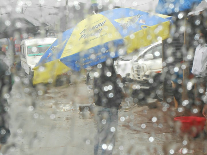 what an umbrella!!