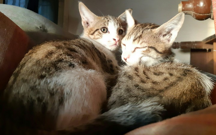 lovely moment❤, clicked by phone camera