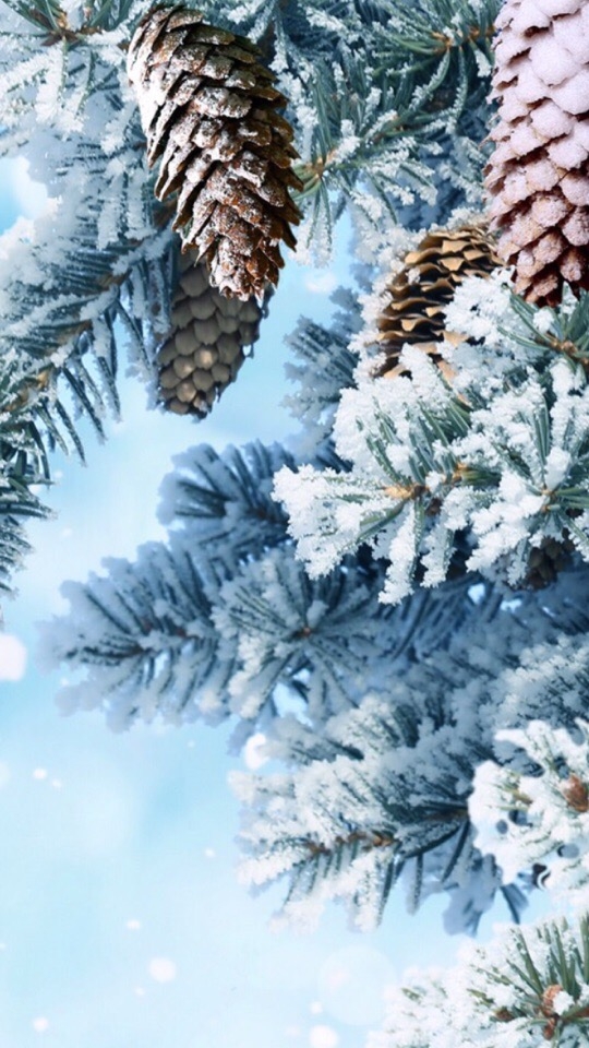 winter
