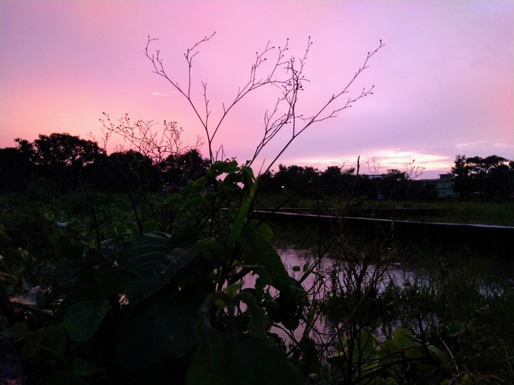 Evening