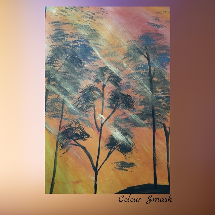 Light through the tress