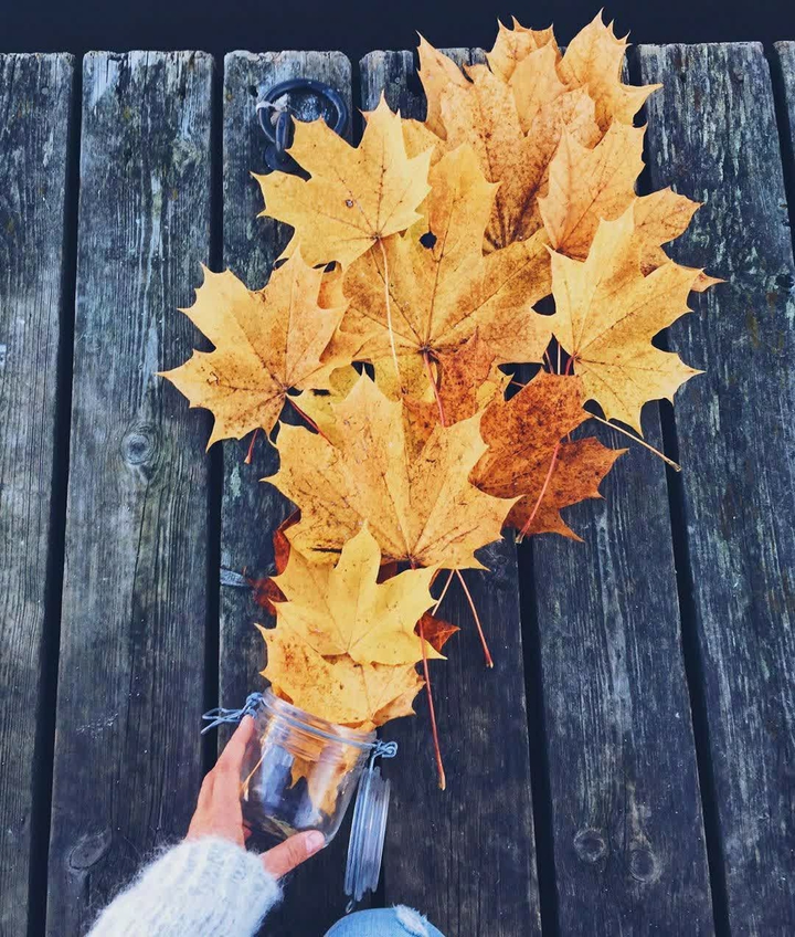 ☺☺☺