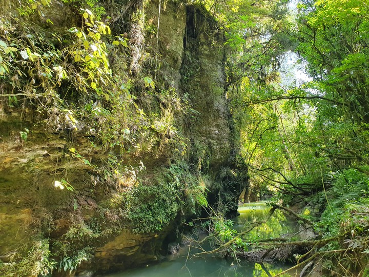 Waitomo Caves