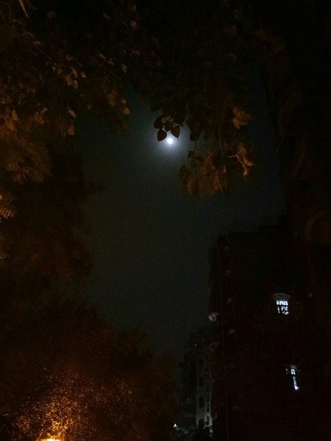 Moon and its light