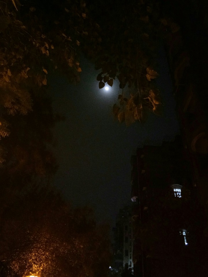 Moon and its light