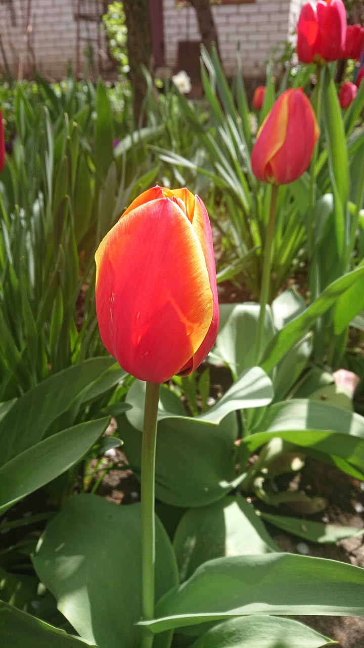 Spring in Ukraine