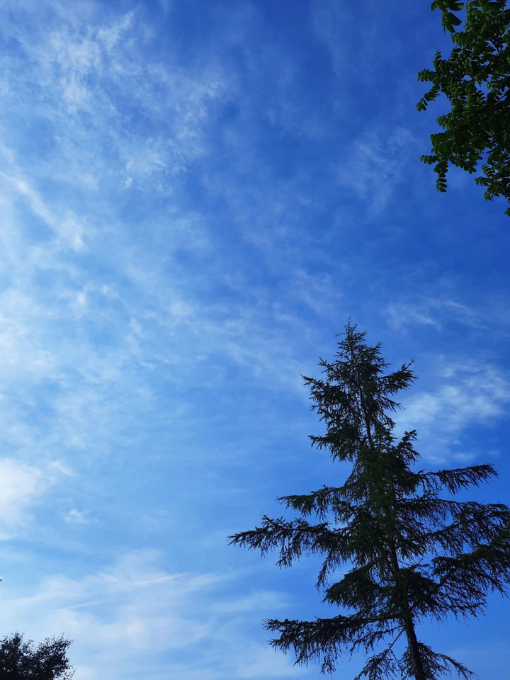 Blue sky