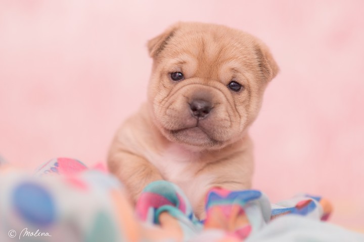 ❤❤❤