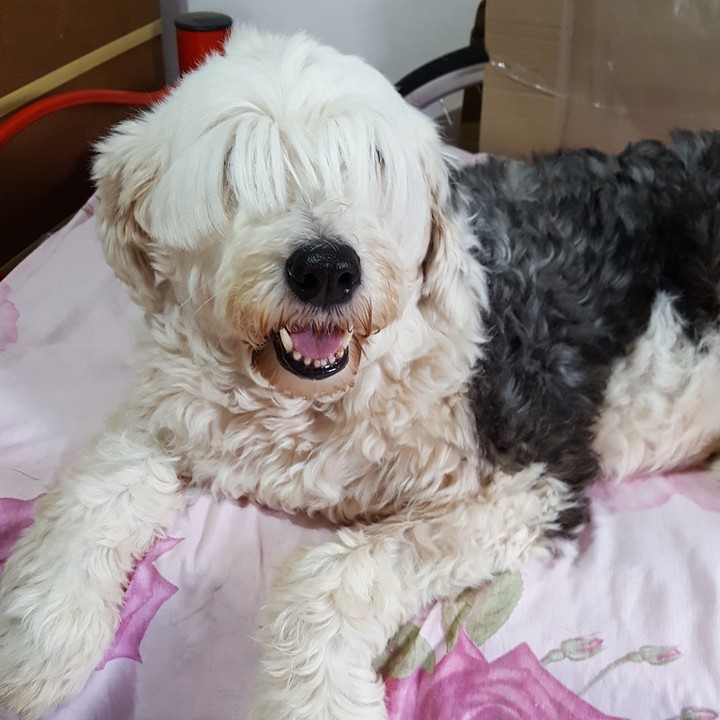 mi hija  mimada 