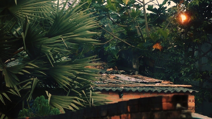 country