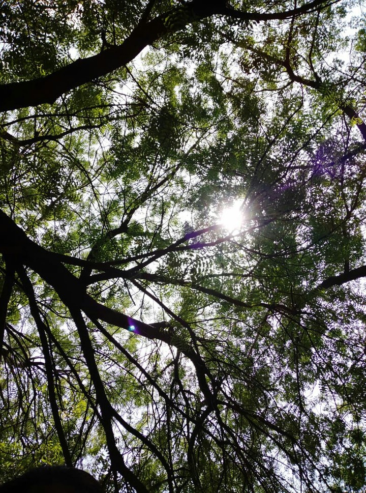Nature