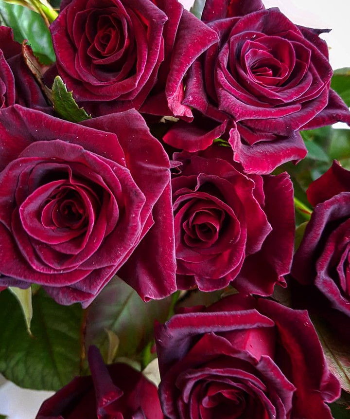 For all women