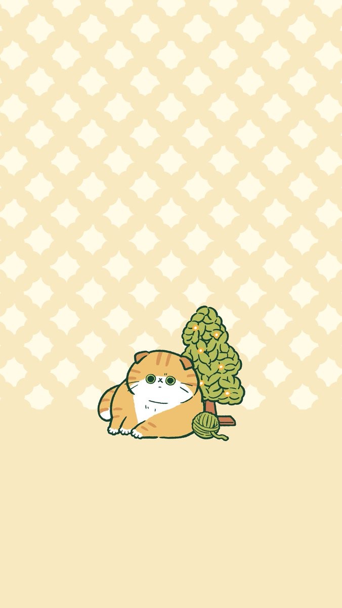 노랑 고양이