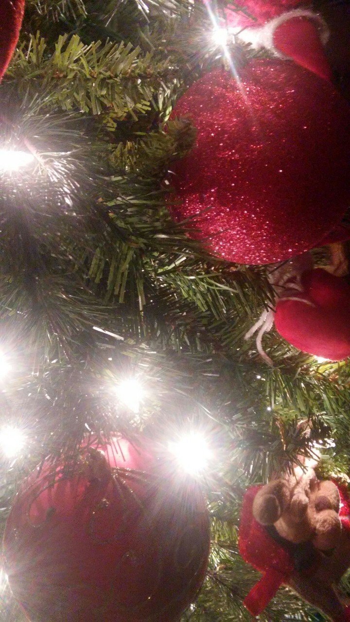 Navidad