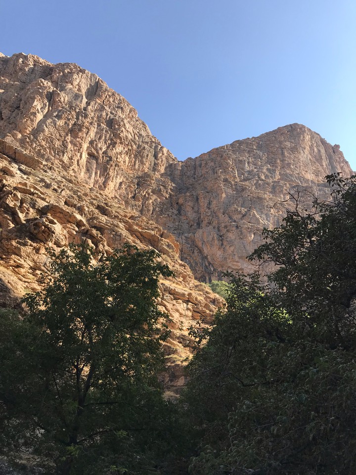 nature