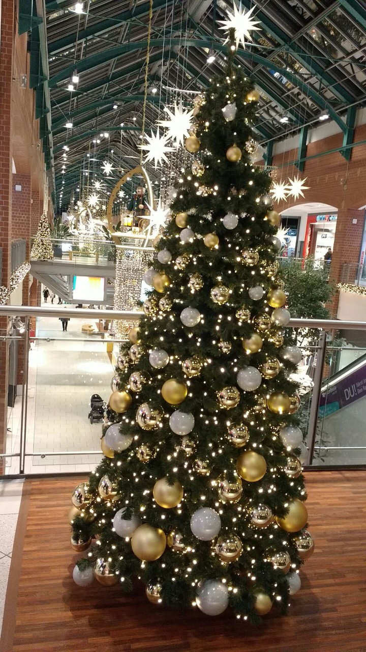 Christmas Tree