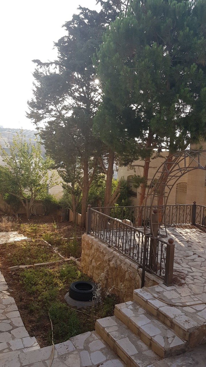 garden 66